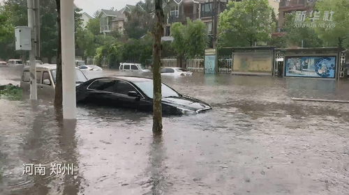 梦到公司遭遇暴雨什么意思,梦见下暴雨把公司淹没了的预兆