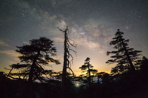 梦到仰望高山是什么意思,梦见抬头仰望巨高的山