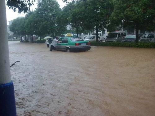 梦到公司被水淹什么预兆,梦见自己的公司被大雨淹没的预兆