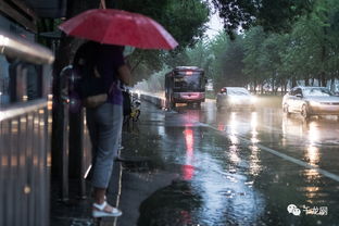 梦到出行下大雨什么意思,梦见下大雨外出的预兆