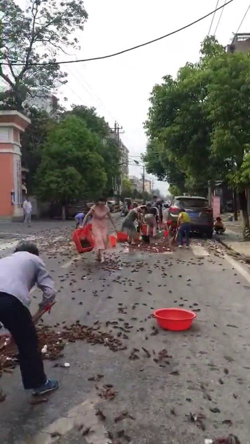 梦到出门就下暴雨什么意思,梦见出门遇大雨的预兆