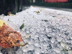 梦到冰雹变成雨什么意思,梦见下大雨冰雹的预兆