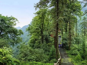 为什么会梦到峨眉山,梦见爬峨眉山