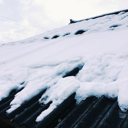 为什么会梦到下雪天呢,晚上睡觉梦见下雪是什么征兆？