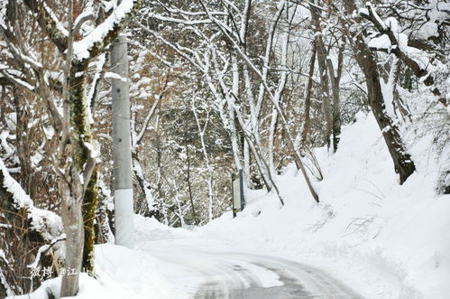 为什么不容易梦到雪景,梦见雪景是什么征兆