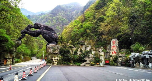 为什么会梦到嵩山山顶呢,梦见爬山到山顶的预兆