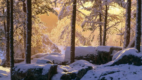 为什么不容易梦到雪景,梦见雪景是什么征兆