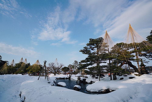 为什么会梦到去日本旅游,梦到去日本旅游是什么意思