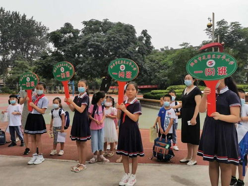 为什么老梦到小学同学,梦见小学同学代表什么