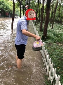 为什么总是梦到下暴雨呢,梦见下大雨是什么意思