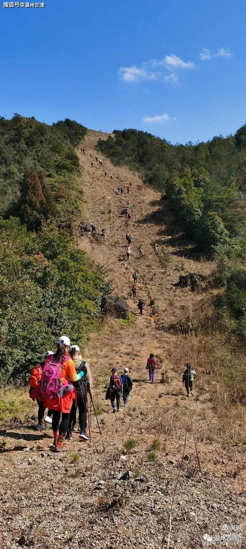 为什么梦到在山上收被子,梦见收被子是什么意思