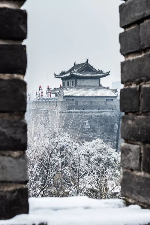 为什么最近总梦到大门没关,梦见大门没关的预兆