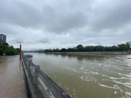 为什么是梦到好大水河流,梦见河里有很多水的预兆