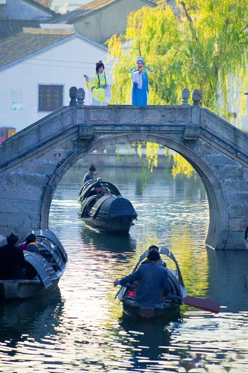 乌篷摇梦到春江体裁是什么,乌篷摇梦到春江第四段在写景时采用了什么写作手法